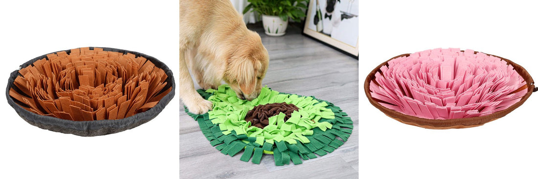 How to Slow Down a Dog That Eats Too Fast