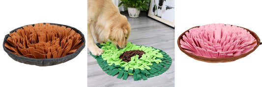 How to Slow Down a Dog That Eats Too Fast