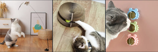 Indoor cats playing with a bird toy, scratch board and catnip ball