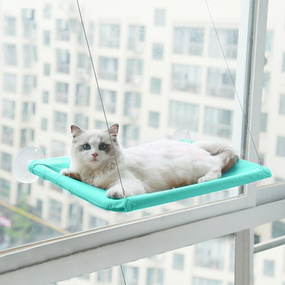 Teal green wall mounted window cat hammock