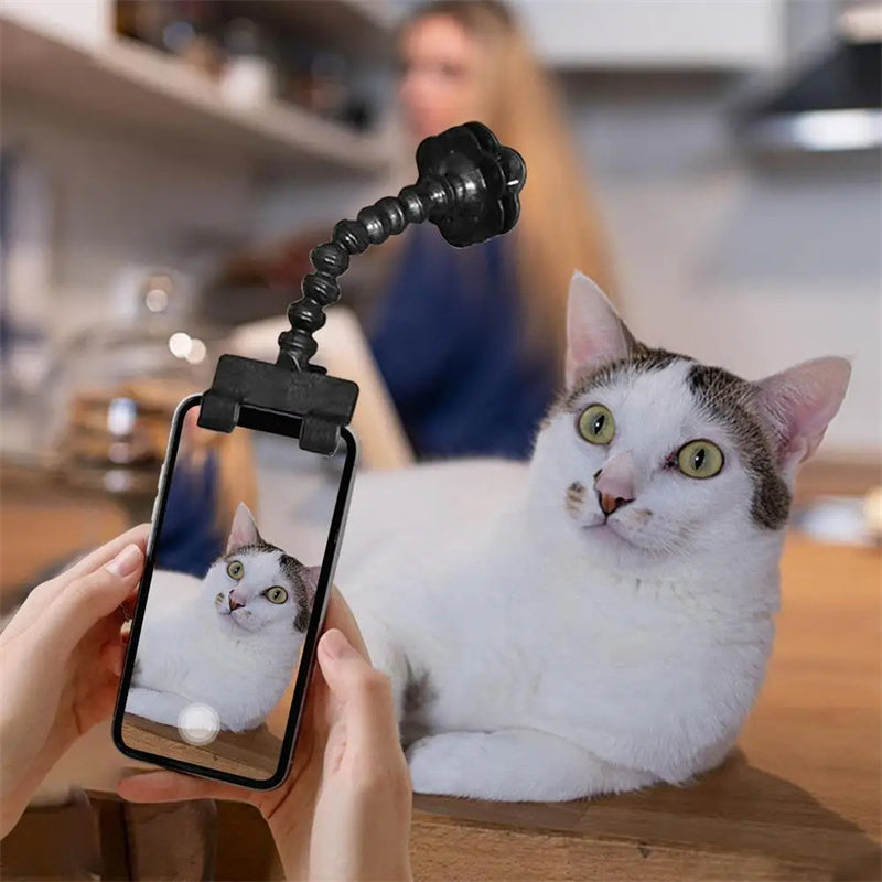 Black pet selfie clip holding a treat while photographing a white and grey cat