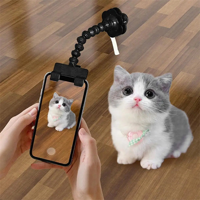 Black pet selfie clip attached to a phone photographing a small kitten
