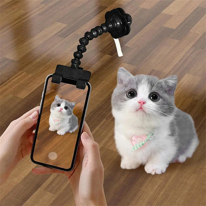 Black pet selfie clip attached to a phone photographing a small kitten