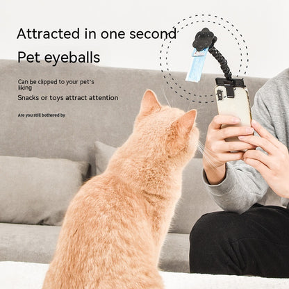 Person using the pet clip to attract the eyeballs of an orange cat