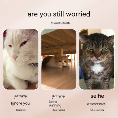 Images of uncooperative cats avoiding the camera