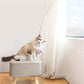 Simulation Bird Cat Toy - Starqon