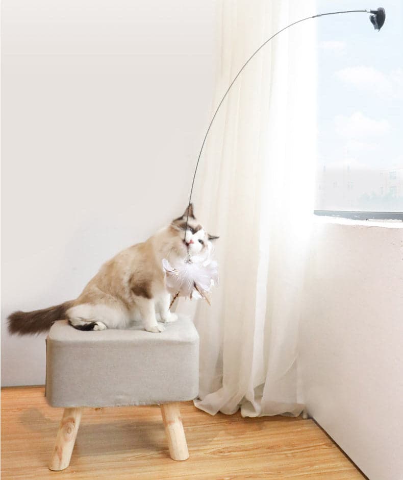 Happy cat successfully catching the lifelike bird toy