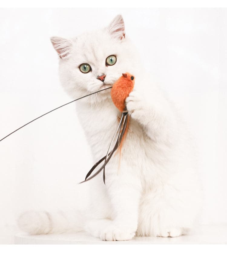 Energetic indoor cat exercising with the simulation bird toy