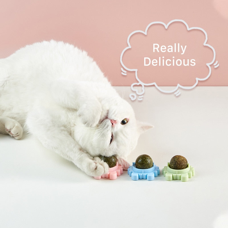 Durable feline toy designed for daily indoor exercise.