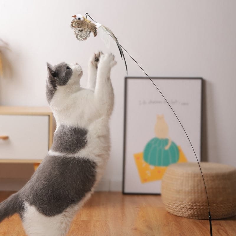 Close-up of the realistic bird design on the cat teaser toy